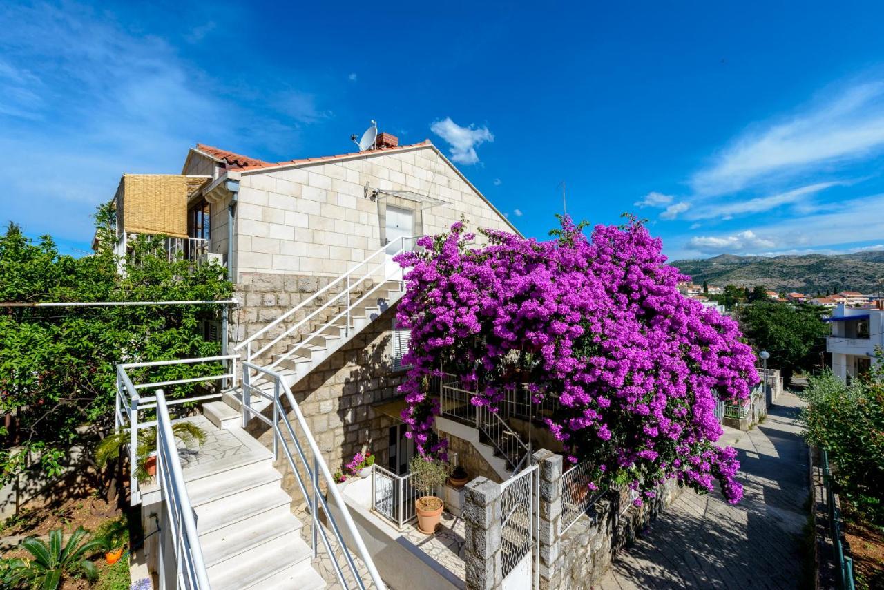 Beach Lapad Apartment Villa Tolja Дубровник Екстер'єр фото